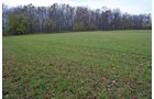 Property photo 40 - 80 Acres & Home - Property Offered in 4 Tracts from 2.3 to 30.0 Acres